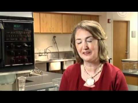 Генезис здоровья — Здоровое питание EshZdorovo.ru