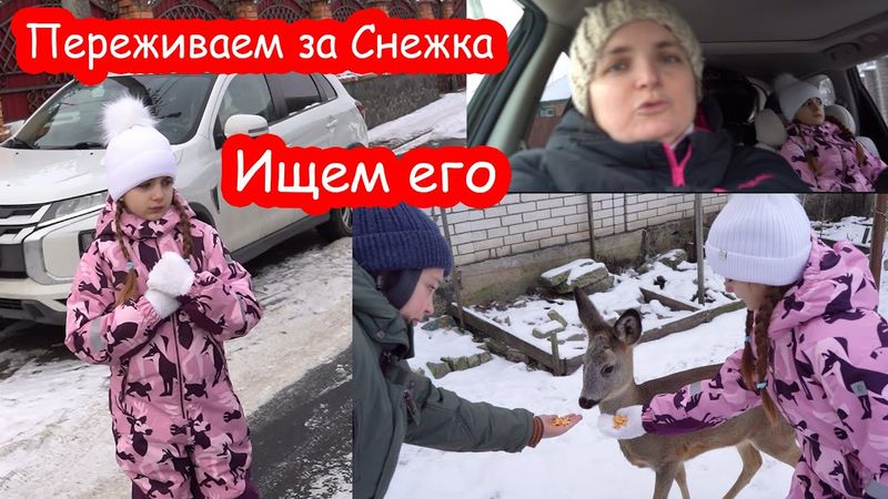 VLOG Снежок выскочил на мороз. Переживаю. Косуля подросла