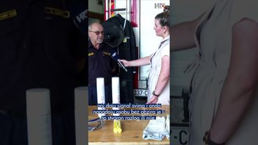 Kako se riješiti stršljena?