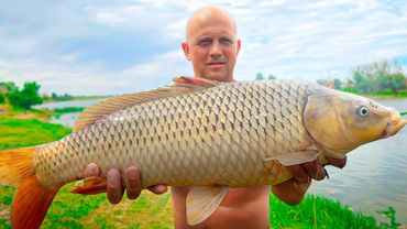 The DYKARYA family lives by the VOLGA River and catches CARPS 🐟🌊. Driving from Belarus to Astrakha