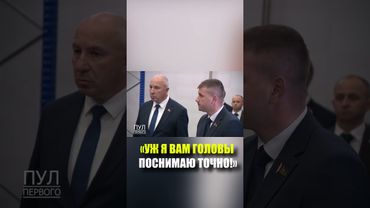 Лукашенко пообещал «поснимать головы» за падеж скота
