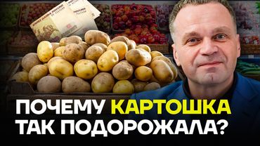 ШИРЯЕВ: Почему картошка так подорожала?