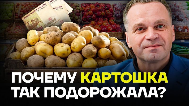 ШИРЯЕВ: Почему картошка так подорожала?