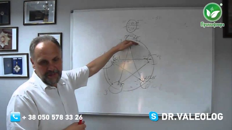 У-син круг энергий. Система усин