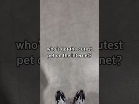 Seungmin Tiktok update 😭