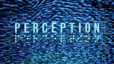 ОНО ВСЕГДА ГДЕ-ТО РЯДОМ ► Perception #3