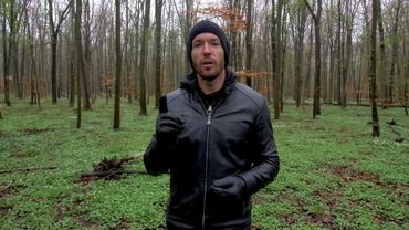 True prophet #goatis #nature #motherhood #edit #primaldiet 