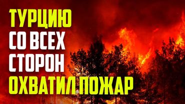 В турецком городе Балыкэсир начался лесной пожар