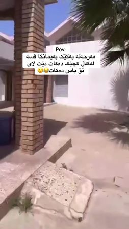 #foryou #ئەکتیڤبن🥀🖤ـہہـ٨ــہ #paymangay_warzshe_hawlir #😂😂 #kurdistan 