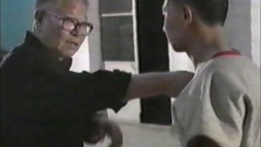Magnifique reportage  sur le Maître Wang Wenyong 大师 王文永先生
