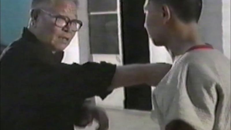 Magnifique reportage  sur le Maître Wang Wenyong 大师 王文永先生
