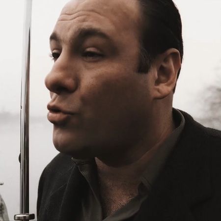 #soprano #sopranos #сопрано #клансопрано #tonysoprano #тонисопрано #f...