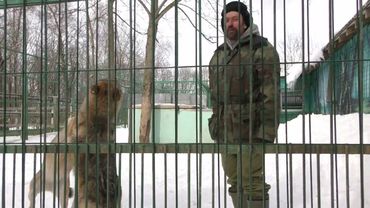 ВОЛЧЬЯ СВАДЬБА