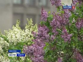 2012.05.13. 20-00. Россия-1. Вести недели (sl)