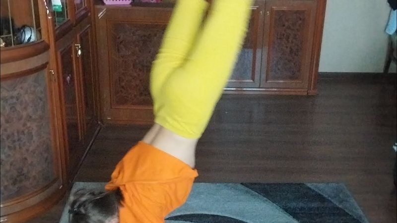 обучение на колесо