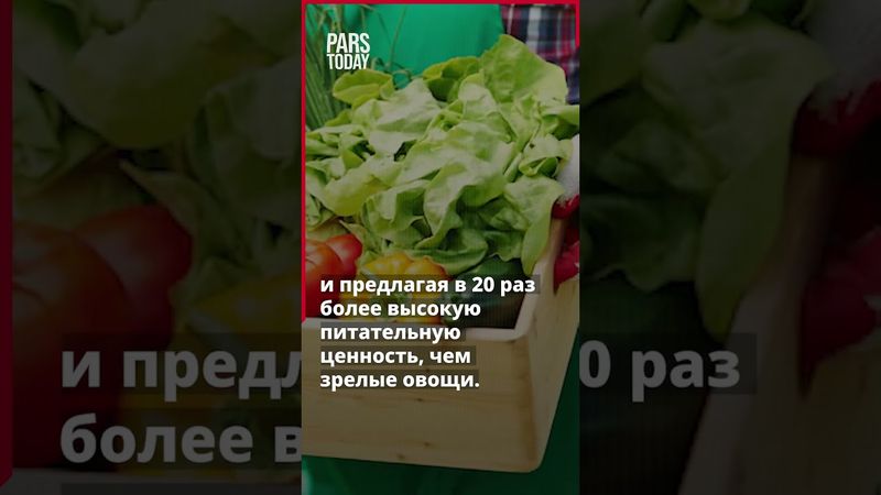 Как иранская инновация сократила потребление воды на 97%