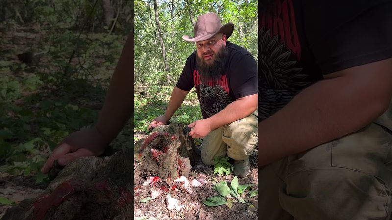 Зубастый мудофил...