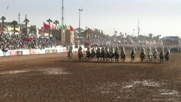 In Morocco, Tbourida carries on the ancestral equestrian art of warfare | AFP