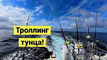 Соревнования "День Тунца" на Сахалине! Огромная рыба на огромные удочки на огромном катере!