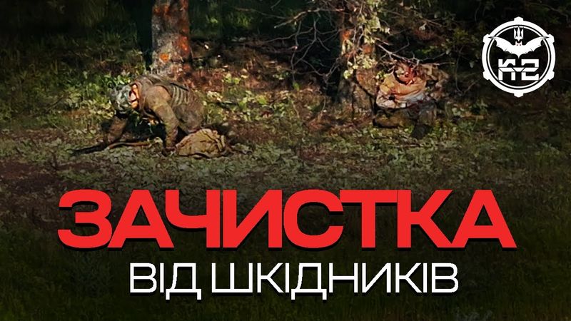 Окупанта беруть у полон і ведуть на мушці: відео з дрона