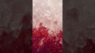 Sugar & Ink Close-Up