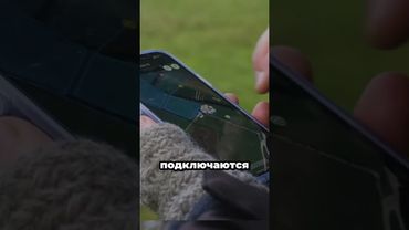 Пасти животных из дома? Реальность! #факты  #животные