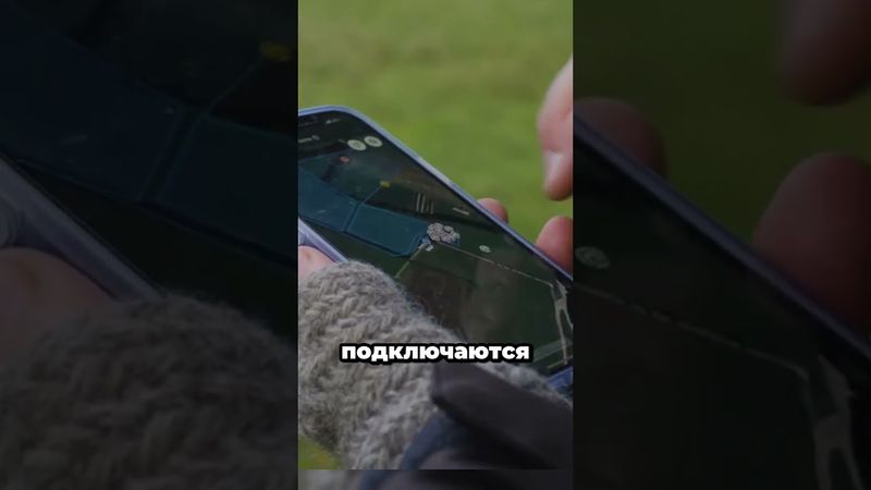 Пасти животных из дома? Реальность! #факты  #животные