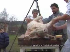 Hog-Killing Time (November 2006)