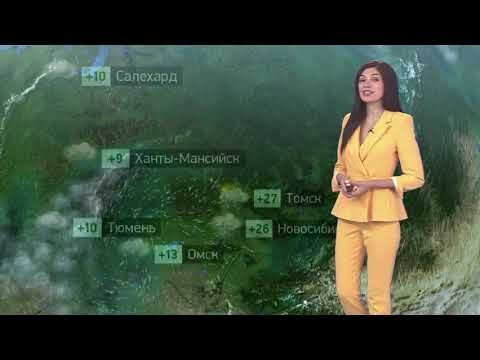 Погода в России на 20.06.2023 вт.