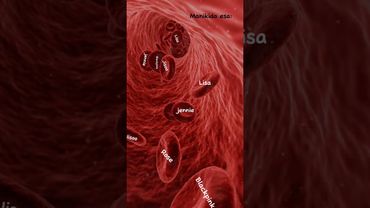 #blackpink #roselisa #kpopsongs #foryou #kpop #koreanmusic #music #blink #kpopmusic #rose