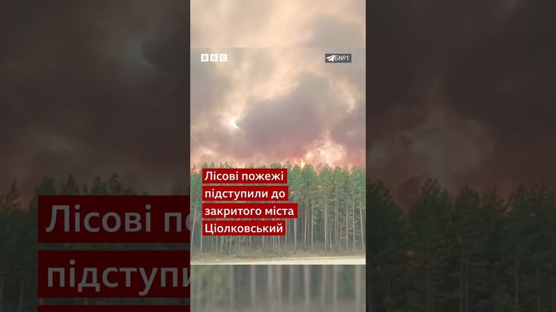 У Росії спалахнули масштабні лісові пожежі #shorts #росія
