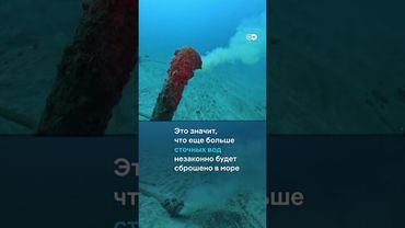 Канары против туристов