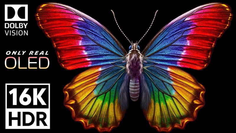 Only Real OLED | 16K VIDEO ULTRA HD - Dolby Vision 16K HDR