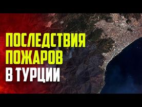 Кадры последствия пожаров в Турции: огонь выжег леса