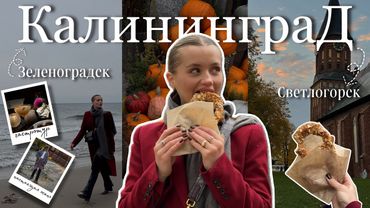 Влог | Калининград: гастротур из местной еды, побережье Балтийского моря и 3 города за 5 дней🥨🍂
