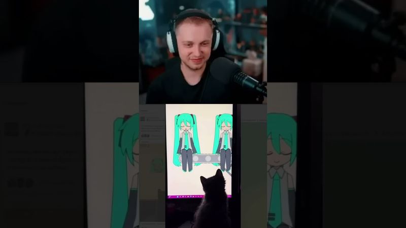 кот анимешник #стинт #stint #stintik #прикол #реакция