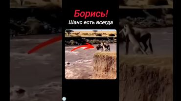 Он не собирался сдаваться💪🔥