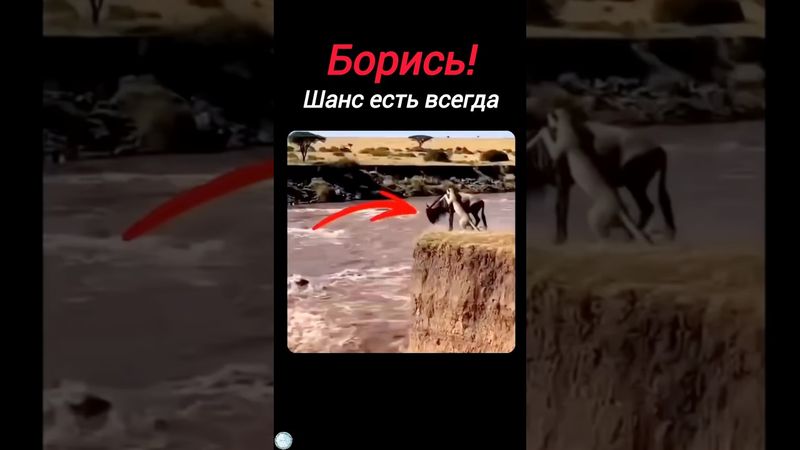 Dia tidak akan menyerah💪🔥