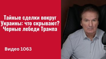 Тайные сделки вокруг Украины: что скрывают? Черные лебеди Трампа / №1063/ Юрий Швец