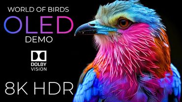 World of Birds OLED Demo HDR 8K Ultra HD Dolby Vision™ 60fps
