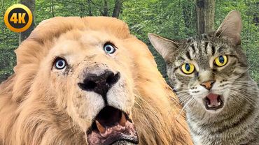 Super Funny Animal Moments 🤣 | Hilarious And CUTE Pet Videos