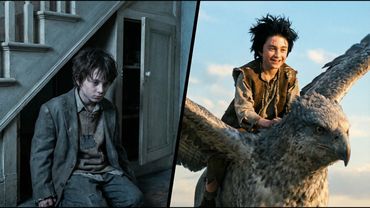 Harry Potter but he is a TANK (Raised in the Forbidden Forest)