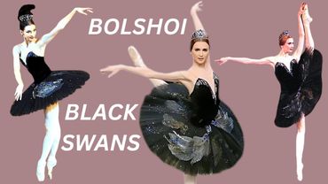 Bolshoi Odiles Over Time Plisetskaya Bessmertnova Zakharova Krysanova Stepanova Allash Kovaleva etc.
