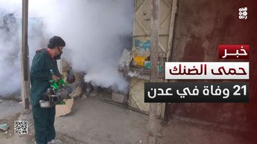 مسؤول: 21 وفاة و1150 إصابة بالضنك في عدن منذ بداية 2025