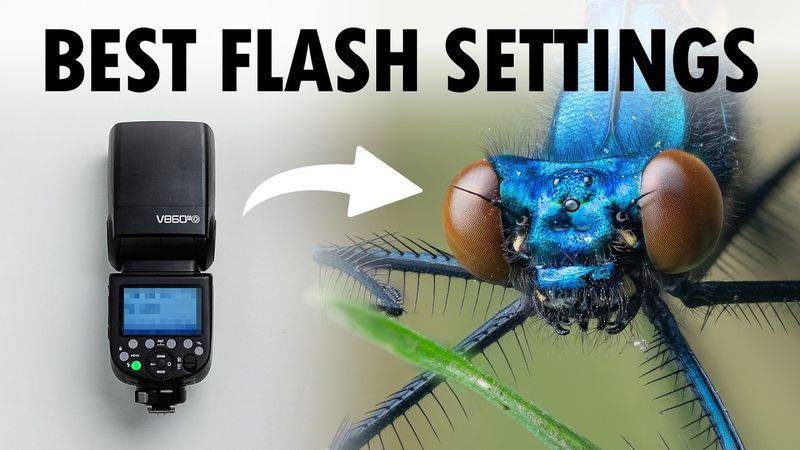 Best Flash Settings For Macro Photography
