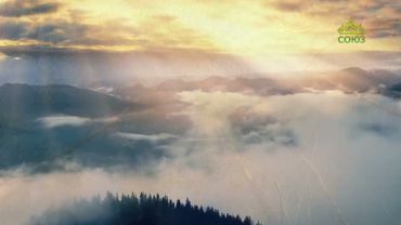 Стихи над миром. Стихотворения Зинаиды Миркиной