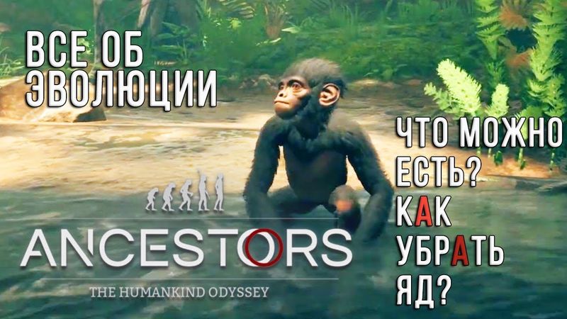 ВСЕ ОБ ЭВОЛЮЦИИ || ЧТО МОЖНО ЕСТЬ || ПОЛЕЗНОЕ И ЯДЫ ► Ancestors: The humankind odyssey