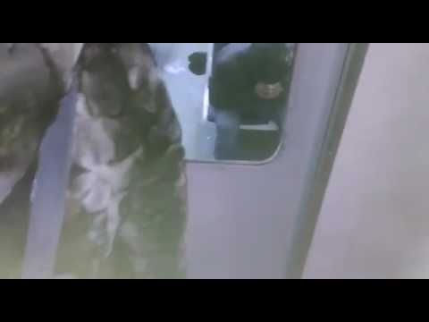 ночная электричка Москва-Крутое