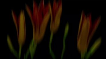 я так люблю видео и #эдиты с такими цветами. я просто не могу, аааа н...