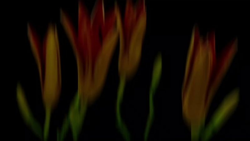 я так люблю видео и #эдиты с такими цветами. я просто не могу, аааа н...